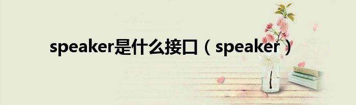 speaker是什么接口（speaker）