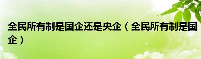 全民所有制是国企还是央企（全民所有制是国企）