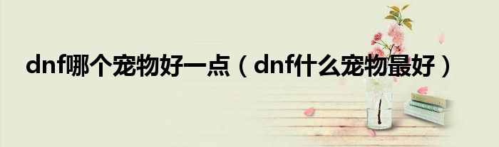 dnf哪个宠物好一点（dnf什么宠物最好）