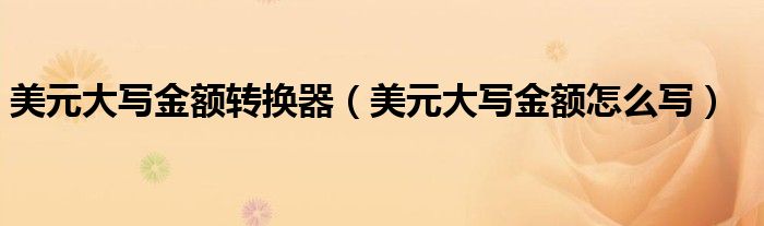 美元大写金额转换器（美元大写金额怎么写）