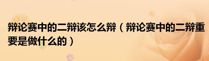 辩论赛中的二辩该怎么辩（辩论赛中的二辩重要是做什么的）