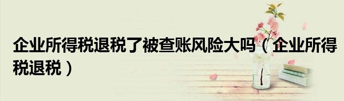企业所得税退税了被查账风险大吗（企业所得税退税）