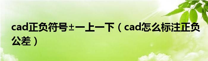 cad正负符号±一上一下（cad怎么标注正负公差）