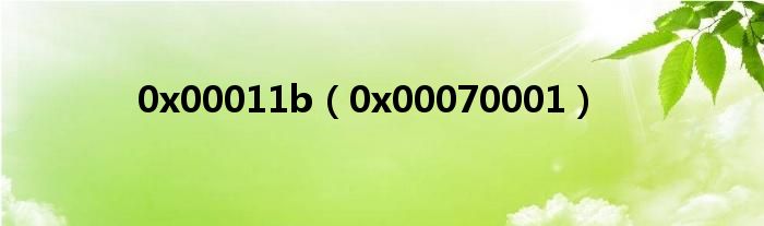 0x00011b（0x00070001）