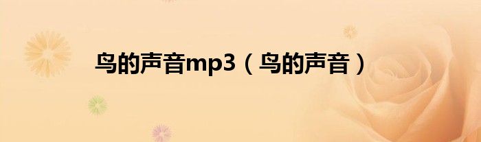 鸟的声音mp3（鸟的声音）
