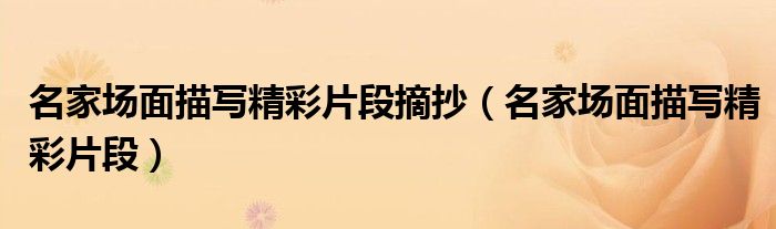 名家场面描写精彩片段摘抄（名家场面描写精彩片段）