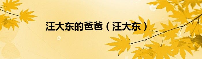 汪大东的爸爸（汪大东）