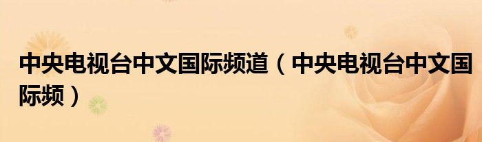中央电视台中文国际频道（中央电视台中文国际频）