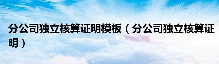 分公司独立核算证明模板（分公司独立核算证明）