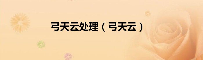 弓天云处理（弓天云）