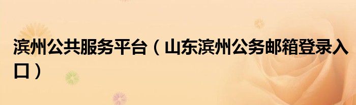滨州公共服务平台（山东滨州公务邮箱登录入口）
