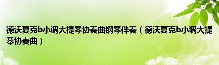 德沃夏克b小调大提琴协奏曲钢琴伴奏（德沃夏克b小调大提琴协奏曲）