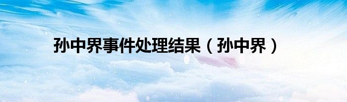 孙中界事件处理结果（孙中界）
