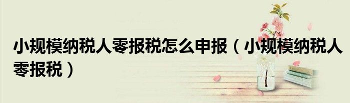 小规模纳税人零报税怎么申报（小规模纳税人零报税）