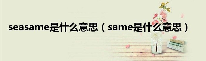 seasame是什么意思（same是什么意思）