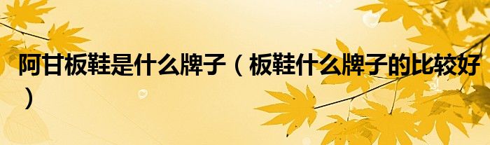 阿甘板鞋是什么牌子（板鞋什么牌子的比较好）