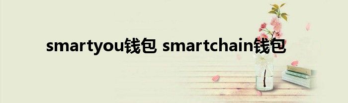 smartyou钱包 smartchain钱包