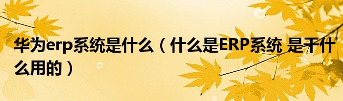 华为erp系统是什么（什么是ERP系统 是干什么用的）
