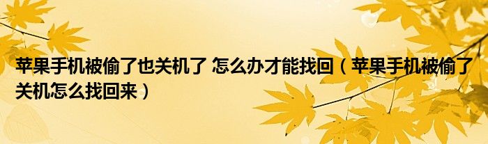 苹果手机被偷了也关机了 怎么办才能找回（苹果手机被偷了关机怎么找回来）
