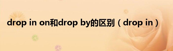 drop in on和drop by的区别（drop in）