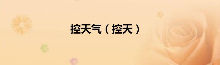控天气（控天）