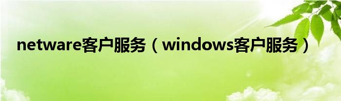netware客户服务（windows客户服务）