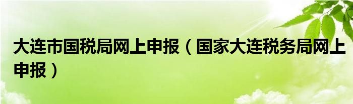 大连市国税局网上申报（国家大连税务局网上申报）