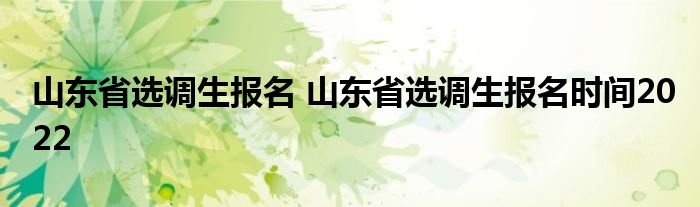 山东省选调生报名 山东省选调生报名时间2022