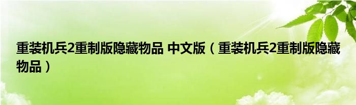 重装机兵2重制版隐藏物品 中文版（重装机兵2重制版隐藏物品）