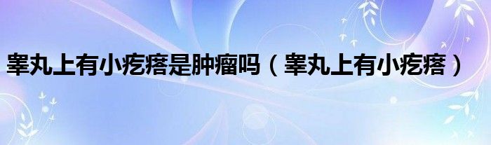 睾丸上有小疙瘩是肿瘤吗（睾丸上有小疙瘩）