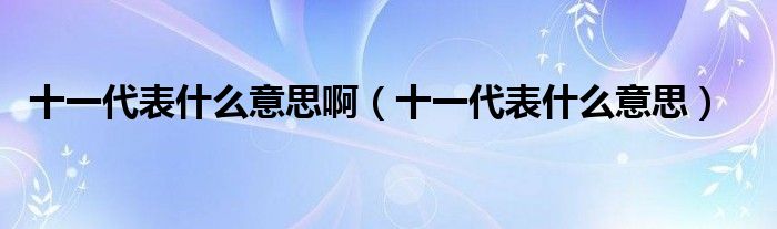 十一代表什么意思啊（十一代表什么意思）