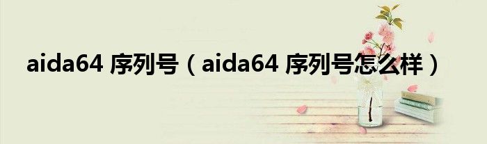 aida64 序列号（aida64 序列号怎么样）