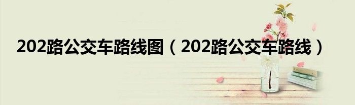 202路公交车路线图（202路公交车路线）