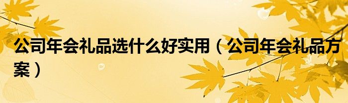 公司年会礼品选什么好实用（公司年会礼品方案）