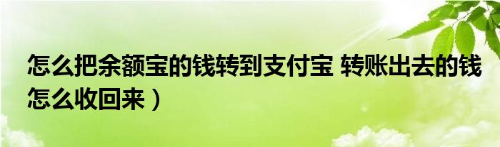 怎么把余额宝的钱转到支付宝 转账出去的钱怎么收回来）