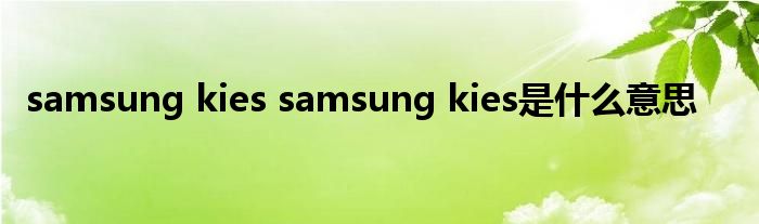 samsung kies samsung kies是什么意思