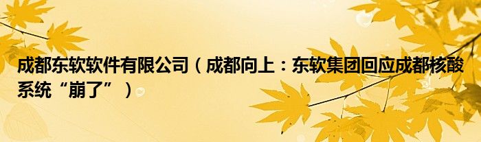 成都东软软件有限公司（成都向上：东软集团回应成都核酸系统“崩了”）