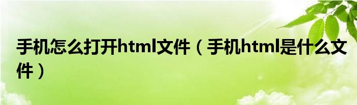手机怎么打开html文件（手机html是什么文件）