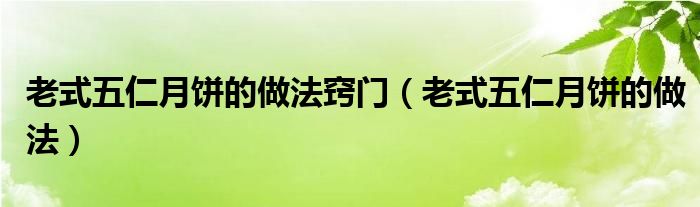 老式五仁月饼的做法窍门（老式五仁月饼的做法）
