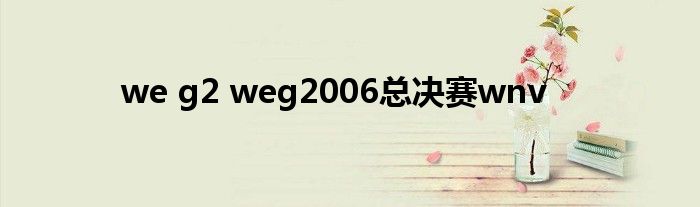 we g2 weg2006总决赛wnv