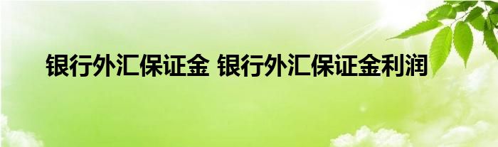 银行外汇保证金 银行外汇保证金利润