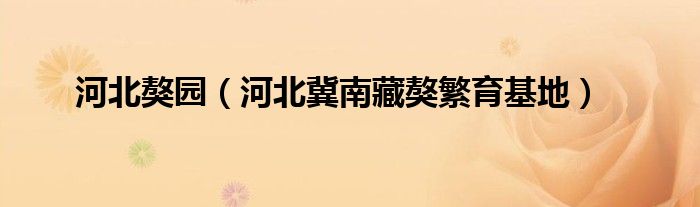 河北獒园（河北冀南藏獒繁育基地）