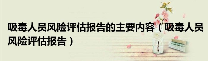 吸毒人员风险评估报告的主要内容（吸毒人员风险评估报告）