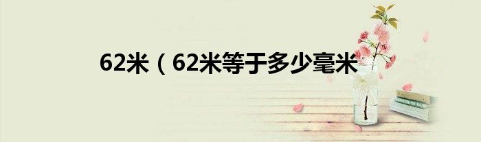 62米（62米等于多少毫米