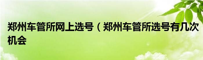 郑州车管所网上选号（郑州车管所选号有几次机会