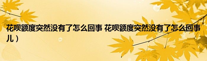 花呗额度突然没有了怎么回事 花呗额度突然没有了怎么回事儿）