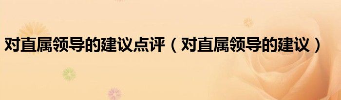 对直属领导的建议点评（对直属领导的建议）