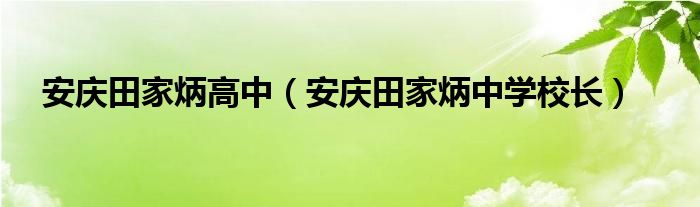 安庆田家炳高中（安庆田家炳中学校长）