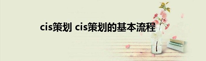 cis策划 cis策划的基本流程
