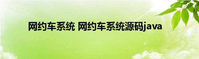 网约车系统 网约车系统源码java